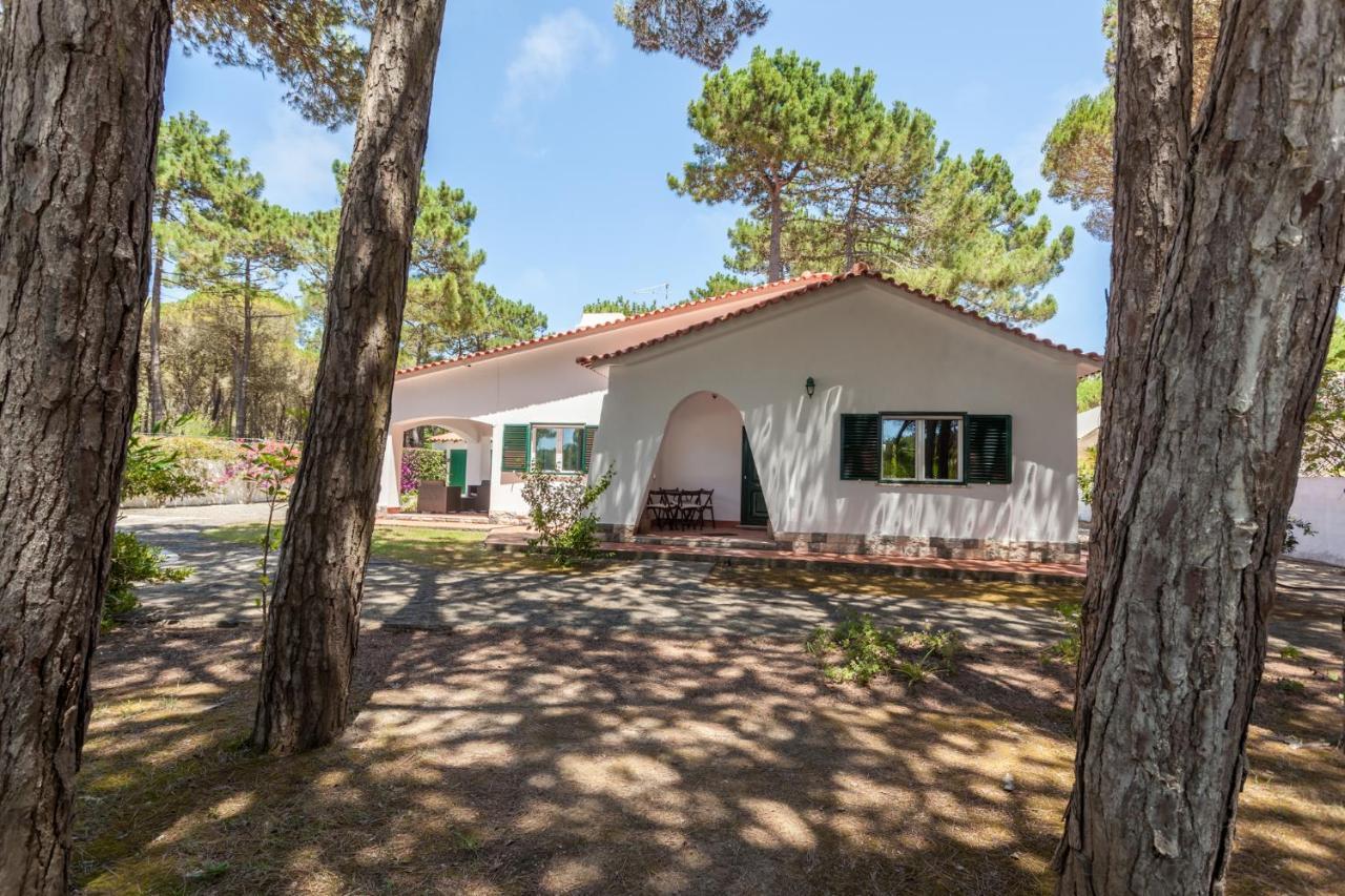 فيلا Ocean, Pines And Mountain - Renovated February 2025 - Ac كولاريس المظهر الخارجي الصورة