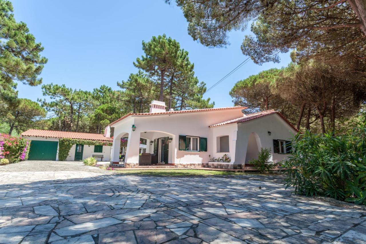 فيلا Ocean, Pines And Mountain - Renovated February 2025 - Ac كولاريس المظهر الخارجي الصورة